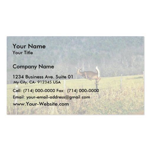 White-tailed Deer Business Cards (front side)