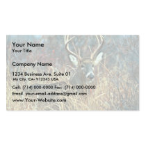 White-tailed Deer business cards