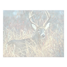 White-tailed Deer Custom Invitations