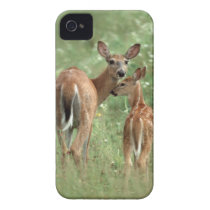 White-Tailed Deer Doe with Her Fawn - Baby Animals Iphone 4 Case-mate Cases
