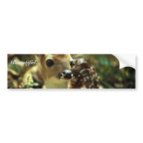 White-tailed Deer Fawn Bumper Sticker