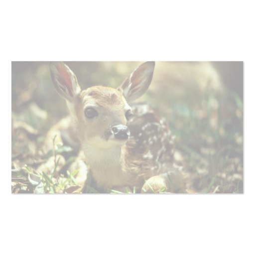 White-tailed Deer Fawn Business Cards (back side)