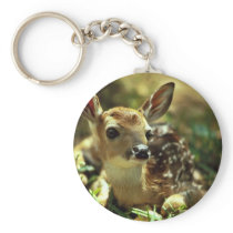 White-tailed Deer Fawn Key Chains