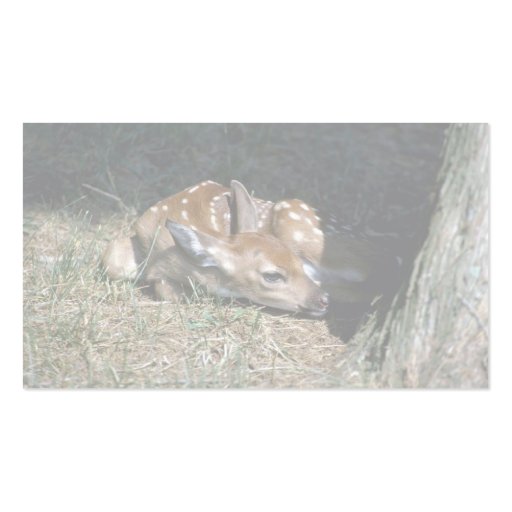 White-tailed Deer-fawn lying by tree Business Card Templates (back side)