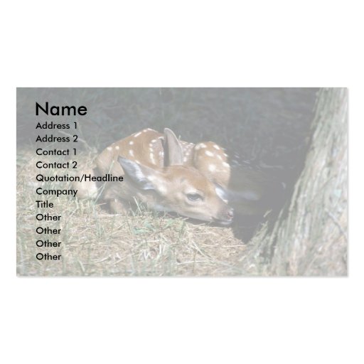 White-tailed Deer-fawn lying by tree Business Card Templates