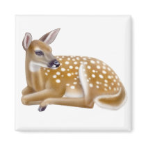 White Tailed Deer Fawn Magnet by twopurringcats White Tailed Deer Fawn Magnet