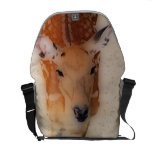 'White-tailed Deer Greeting' Commuter Bags