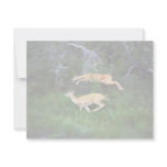 White-tailed Deer Invitation