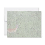 White-tailed deer custom invitations