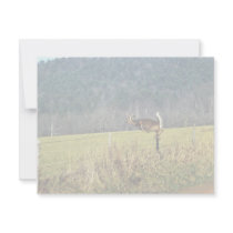 White-tailed Deer Personalized Invitations
