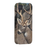 White-Tailed Deer - iPhone 4 Cover