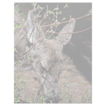 White-tailed Deer Custom Letterhead