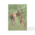 White-tailed deer mother and fawn greeting card