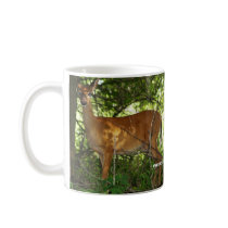 White Tailed Deer Mug