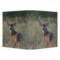 white-tailed deer Odocoileus virginianus) 2 Vinyl Binders