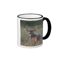 white-tailed deer Odocoileus virginianus) 2 Mug
