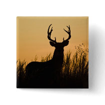white-tailed deer Odocoileus virginianus) Pinback Button
