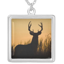 white-tailed deer Odocoileus virginianus) Necklaces