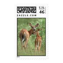 White-tailed Deer with Fawn Stamp