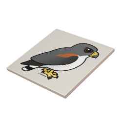 White-tailed Hawk Small Ceremic Tile (4.25