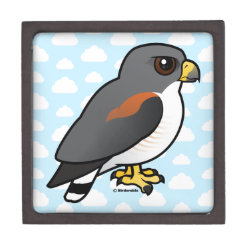 White-tailed Hawk Medium (3