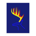 White Taled Deer postcards