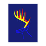 White Taled Deer Post Cards