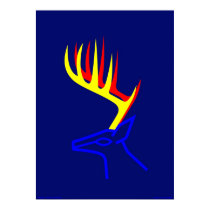 White Taled Deer posters