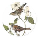 White-throated Sparrow - John Audubon stickers