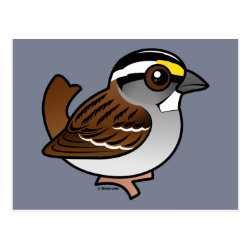 White-throated Sparrow Postcard