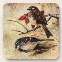 White-Throated Sparrows and Fall Leaves Coaster