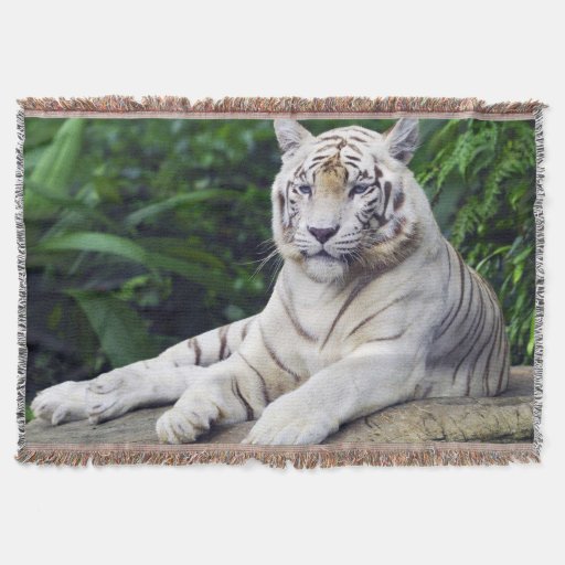 White Tiger 1 Throw Blanket Zazzle