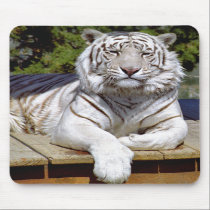 White Tiger 9 Mousepad