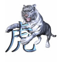 White Tiger and Chinese Symbol t-shirts
