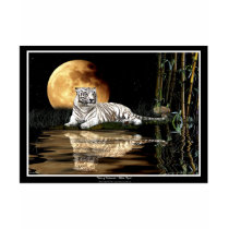 WHITE TIGER Art Design Tee Shirts