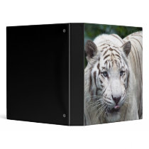White Tiger binders by Webitect White Tiger binders