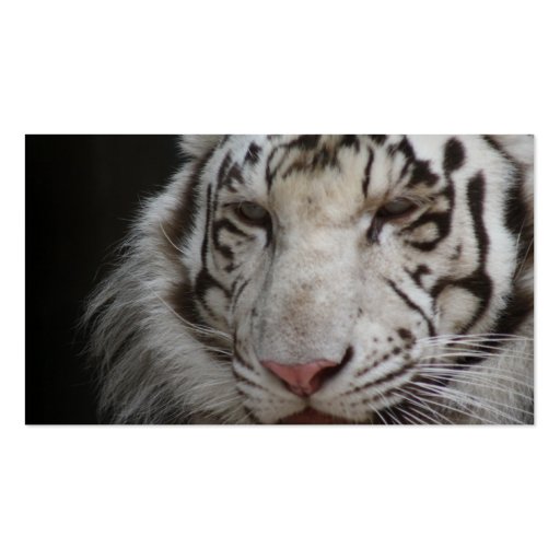 White Tiger Business Card (back side)