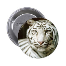 White Tiger Buttons
