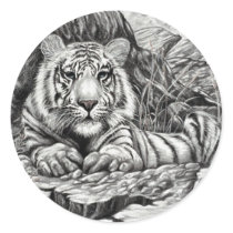 WHITE TIGER   by Diana S Martin stickers