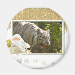 White Tiger-c-159 copy Magnet