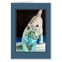 White Tiger cards by ambermooncards White Tiger cards