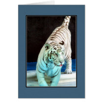 White Tiger cards