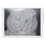 White Tiger Card