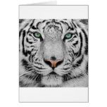 White Tiger Card