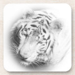 White Tiger Coasters White Tiger Coasters