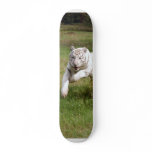 White Tiger-DSC_3825e Skate Deck
