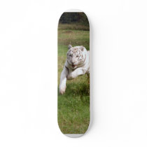 White Tiger-DSC_3825e skateboards