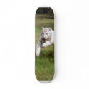 White Tiger-DSC_3825e skateboards