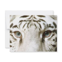 White Tiger Feng Shui Invitation ~ EZ2 Customize
