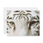 White Tiger Feng Shui Invitation ~ EZ2 Customize